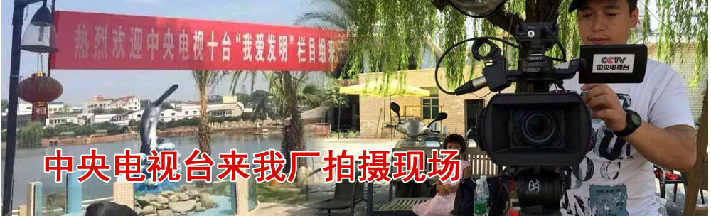 盛華林廠區一